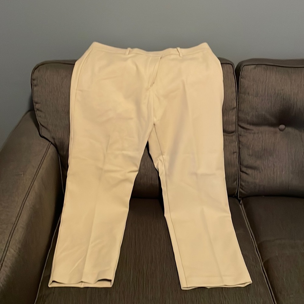 Ann Taylor Pant